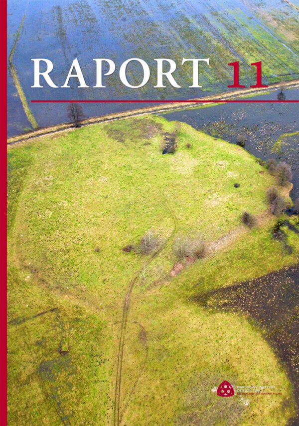 Raport Archeologiczny - obrazek 6